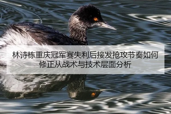 lin-shi-dong-chong-qing-guan-jun-sai-shi-li-hou-jie-fa-qiang-gong-jie-zou-ru-he-xiu-zheng-cong-zhan-shu-yu-ji-shu-ceng-2-458.jpg